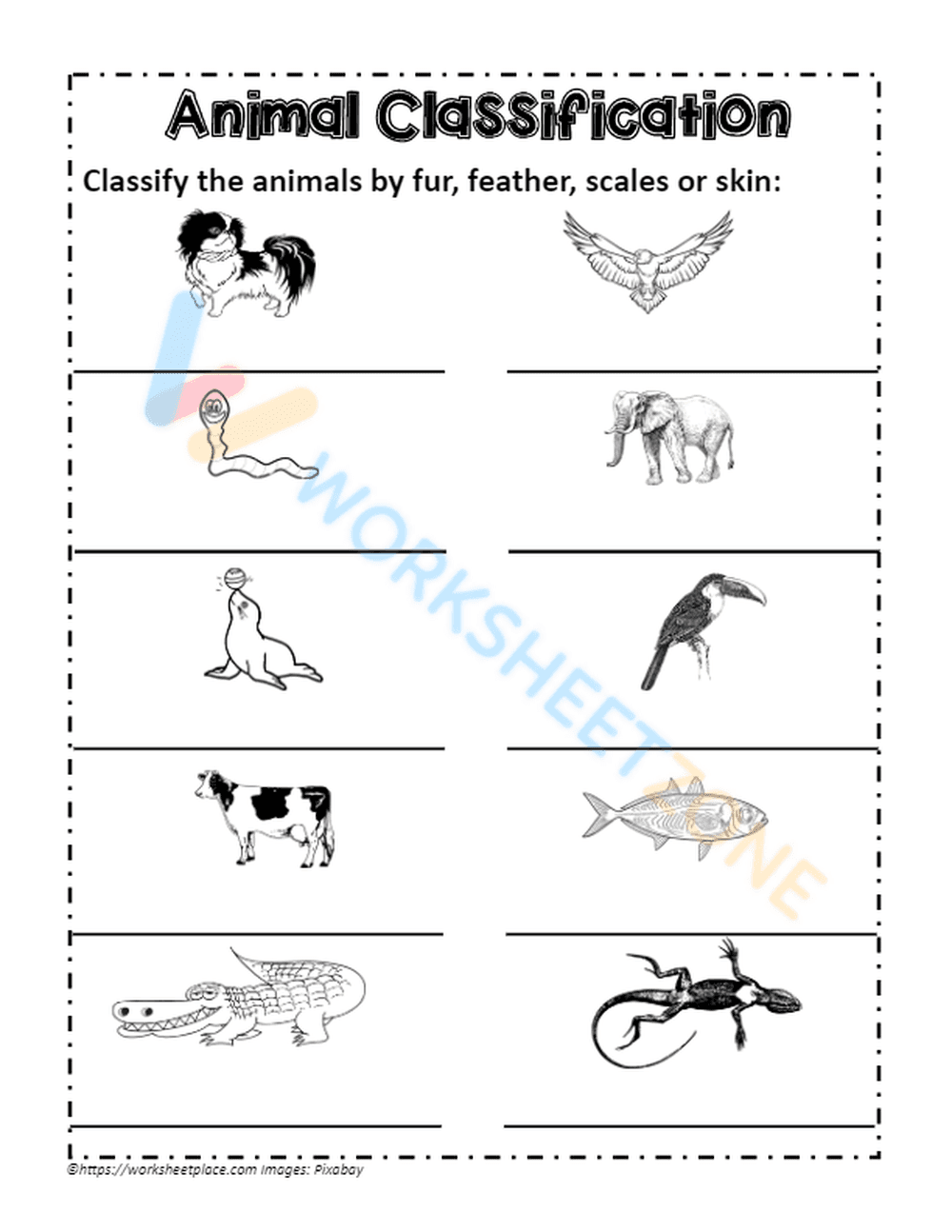 animal classification 8 - Page 1