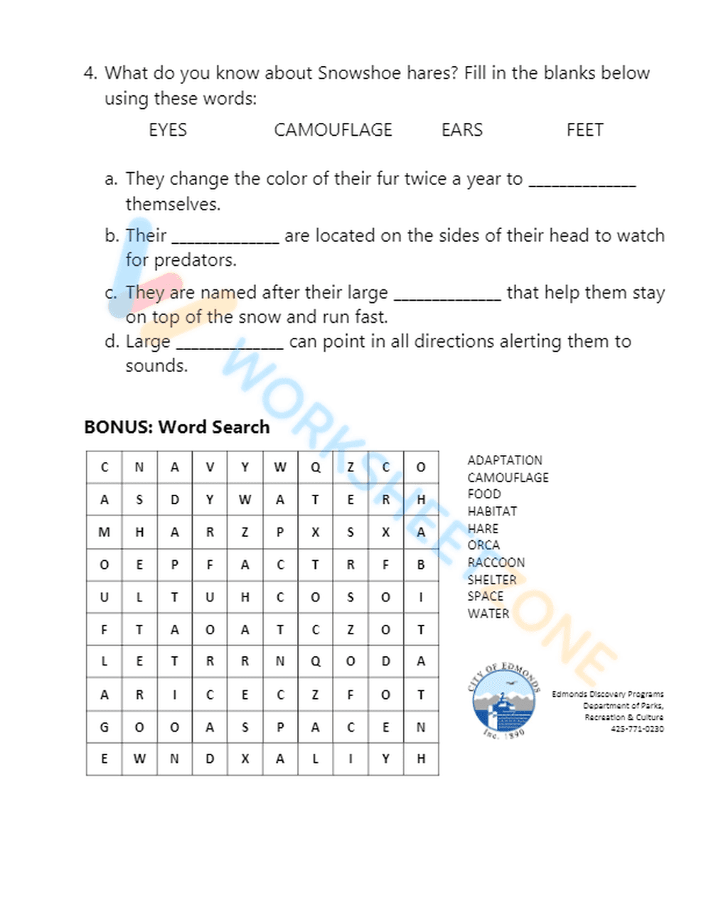 animal adaptations 1 - Page 2