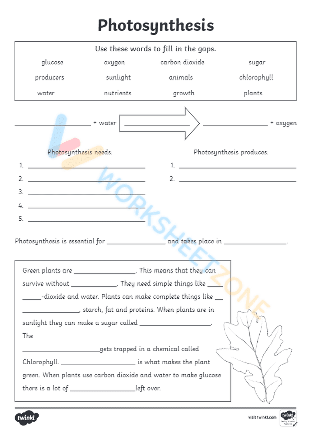 Understanding Photosynthesis - Page 1