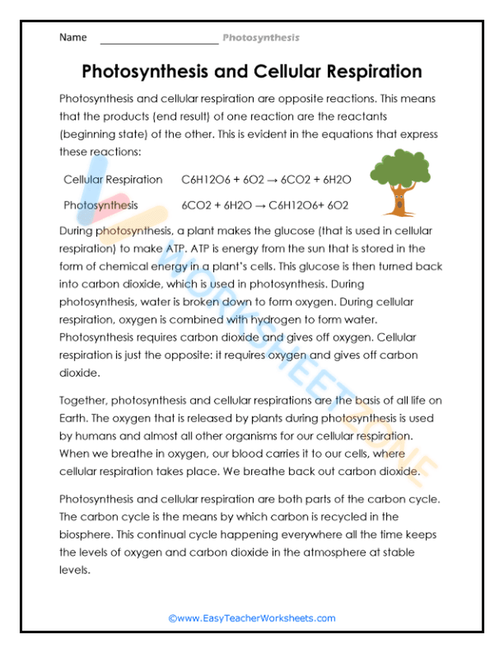 Photosynthesis and Cellular Respiration Reading - Page 1
