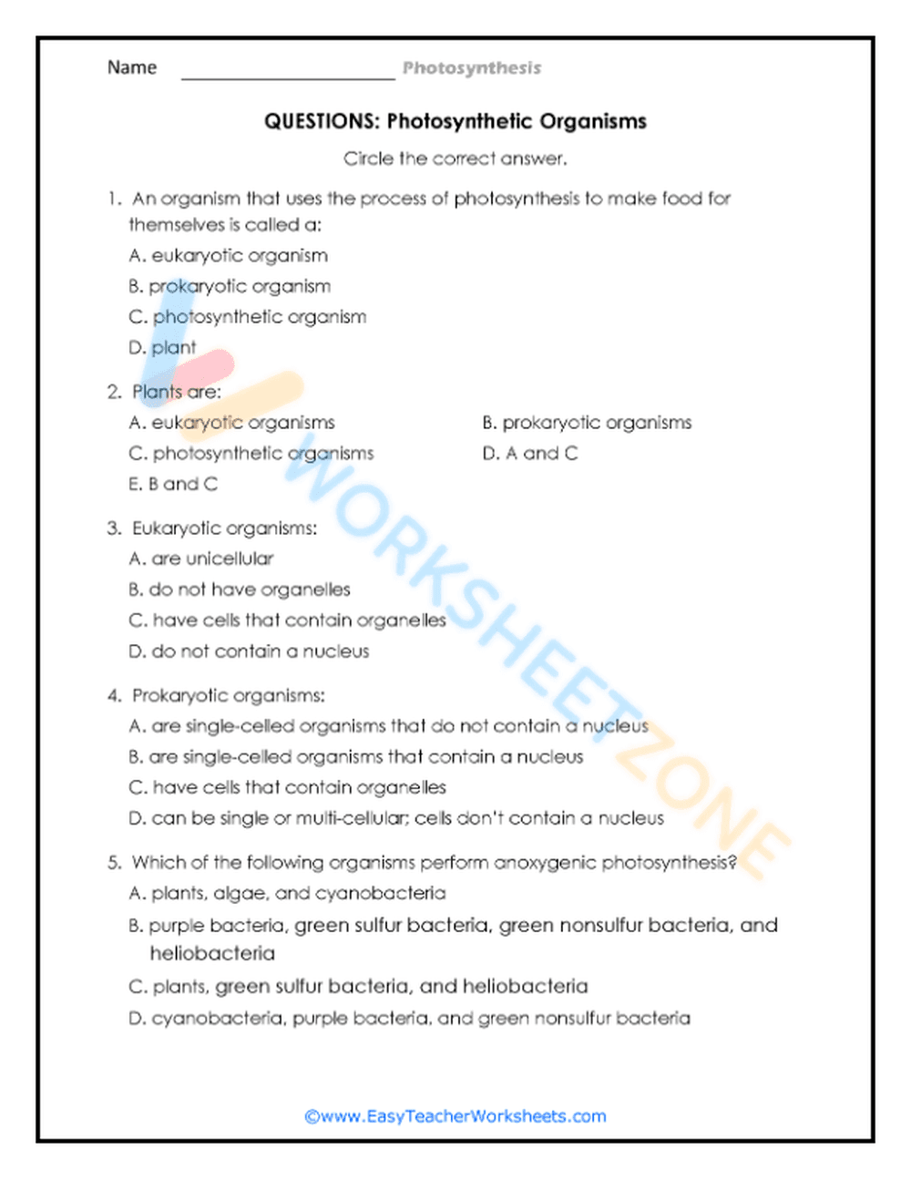 Understanding Plant Photosynthesis - Page 2
