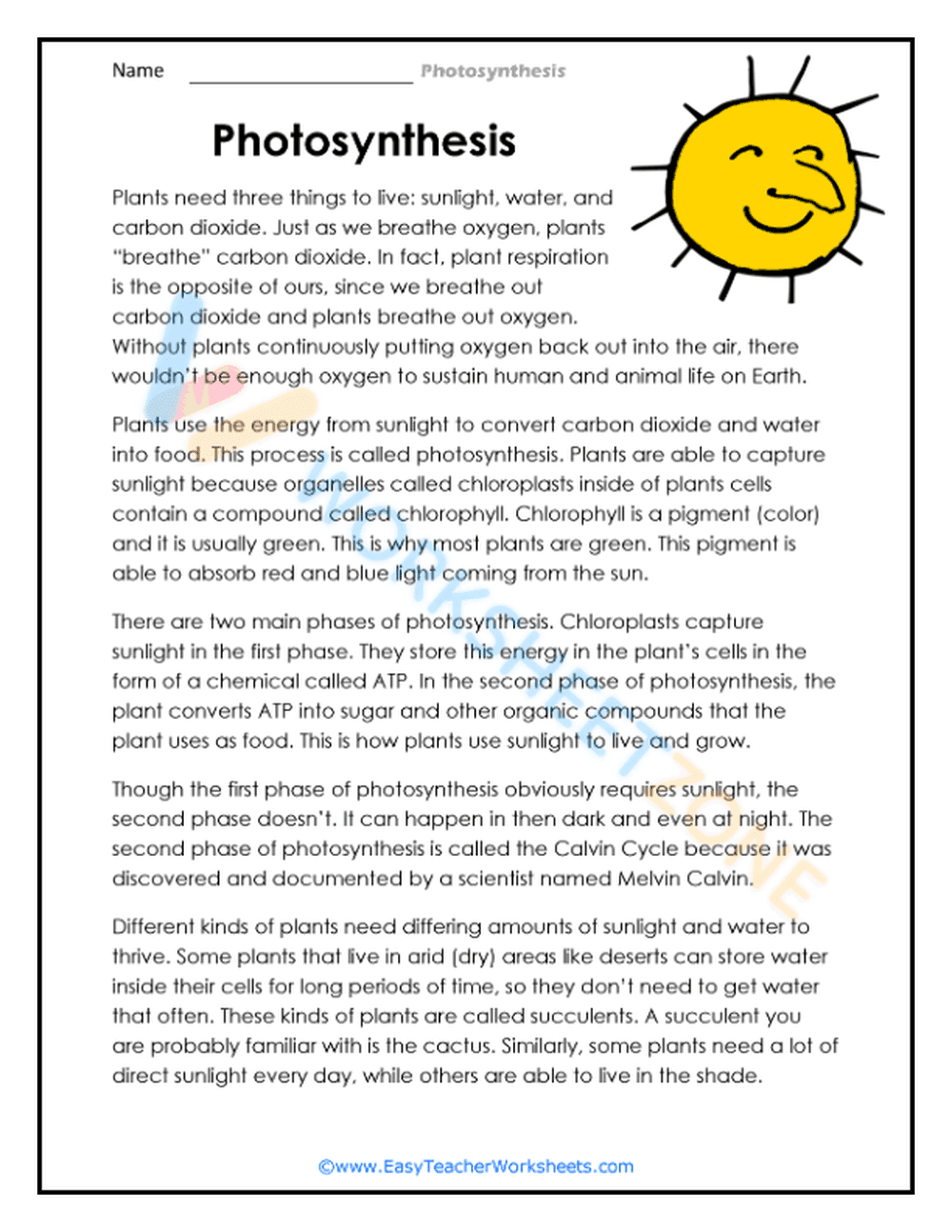 Basics of Plant Photosynthesis - Page 1