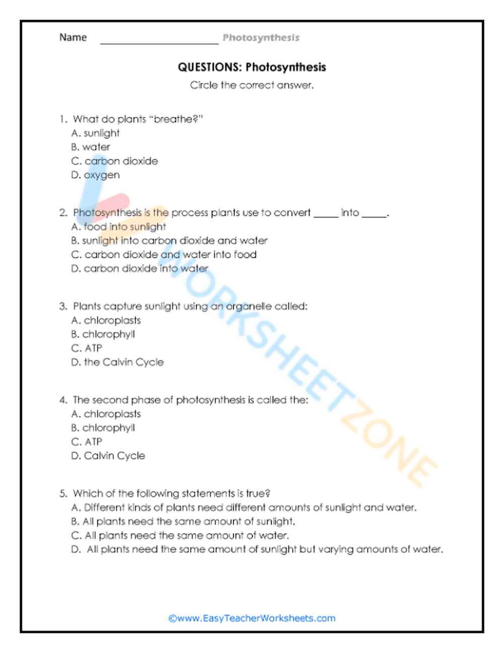 Basics of Plant Photosynthesis - Page 2