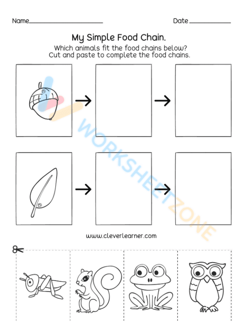 Introduction to Food Webs and Food Chains - Page 1