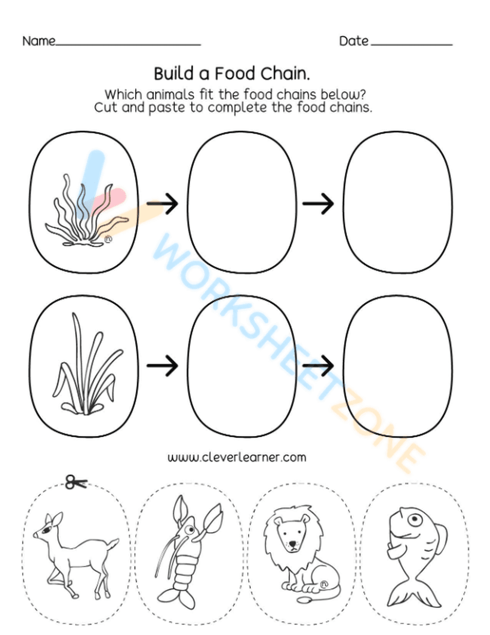 Investigating Food Webs and Food Chains - Page 1