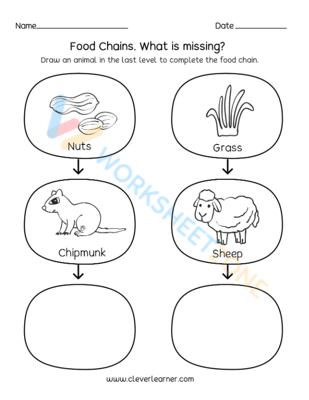 food webs and food chains 4 - Page 1