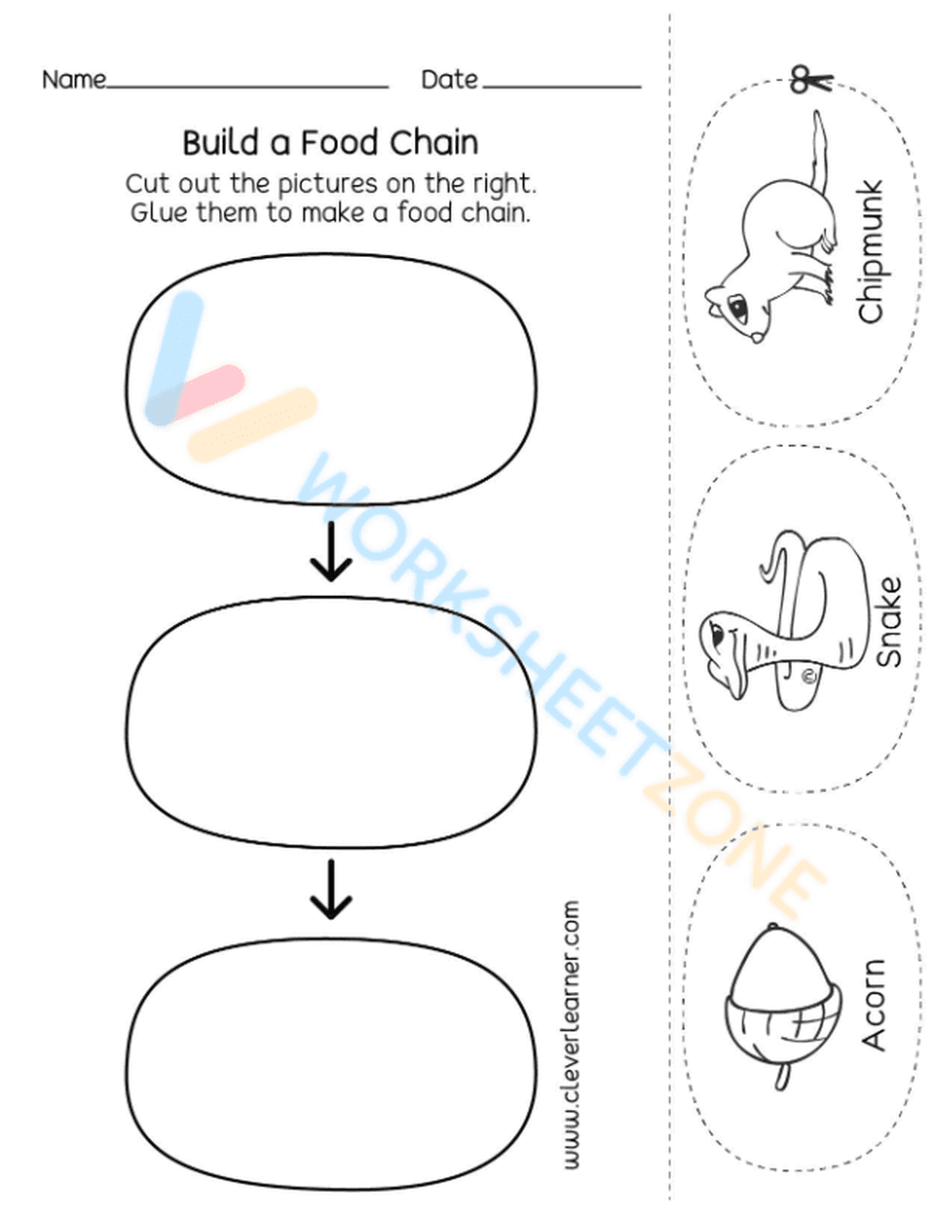 Understanding Food Webs & Food Chains - Page 1