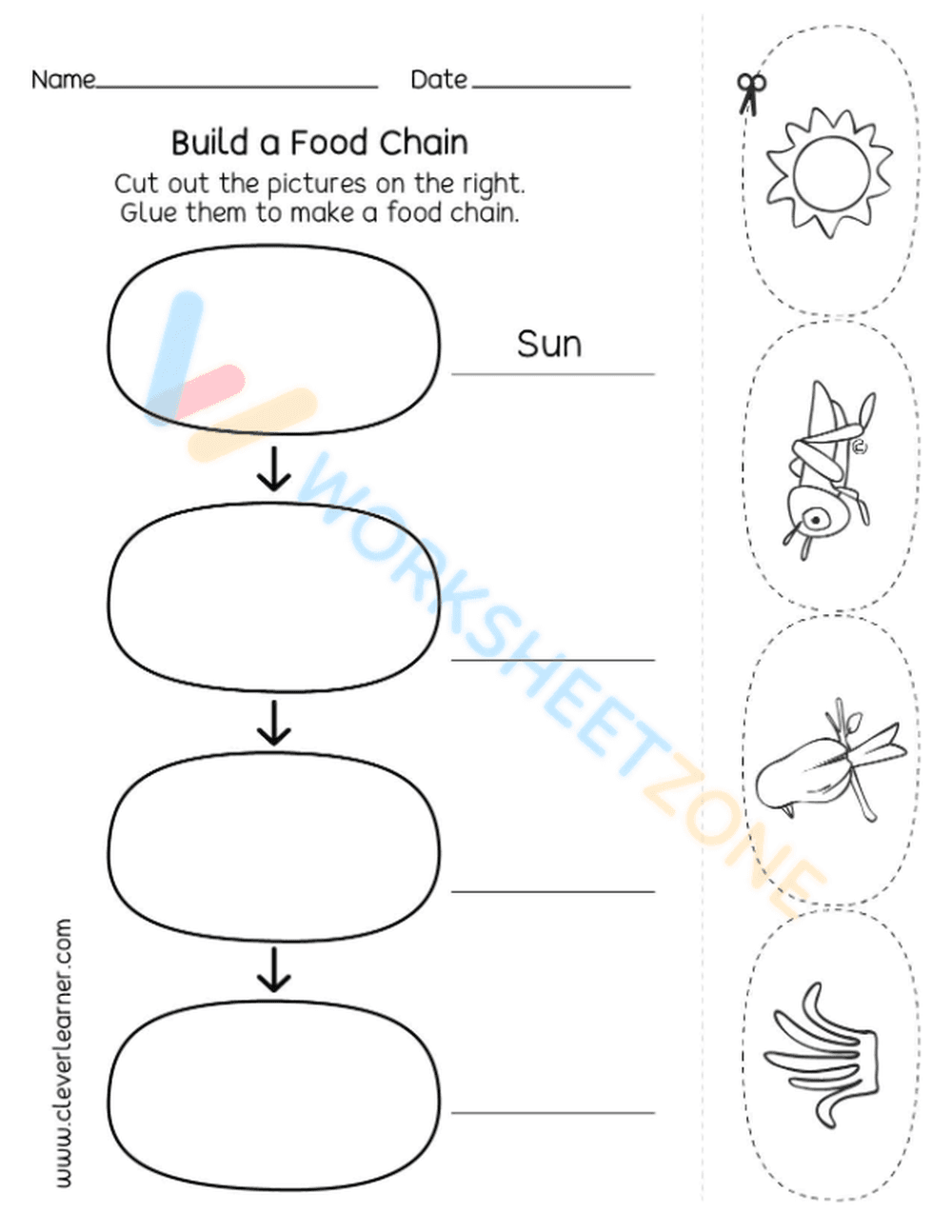 food webs and food chains 6 - Page 1