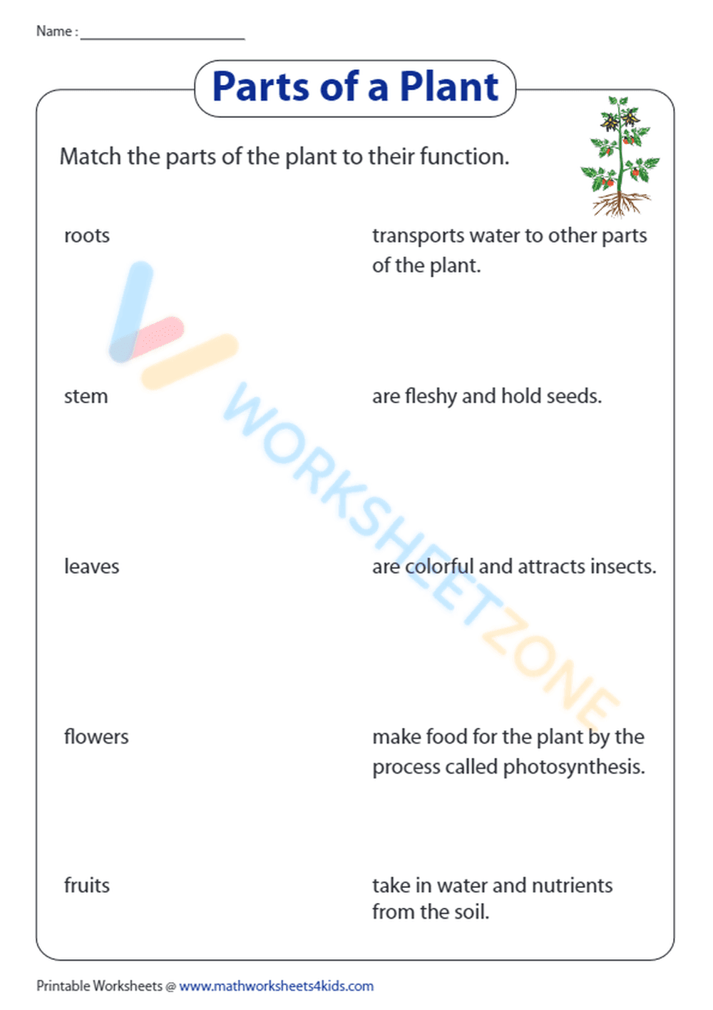 parts of a plant 4 - Page 1