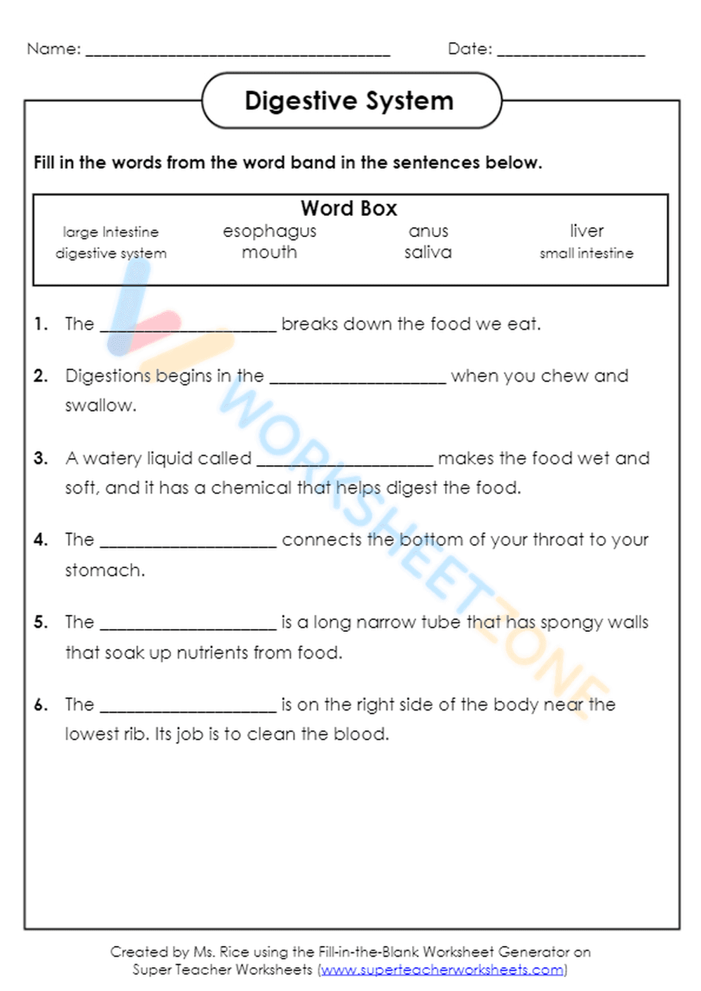 digestive system 1 - Page 1
