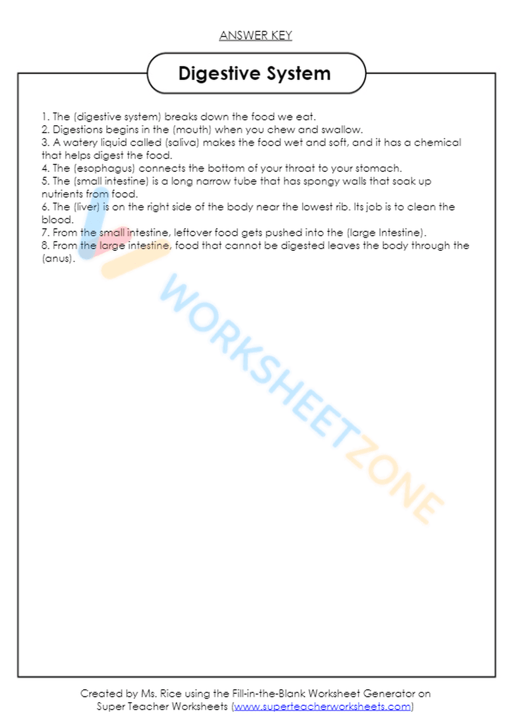 digestive system 1 - Page 3