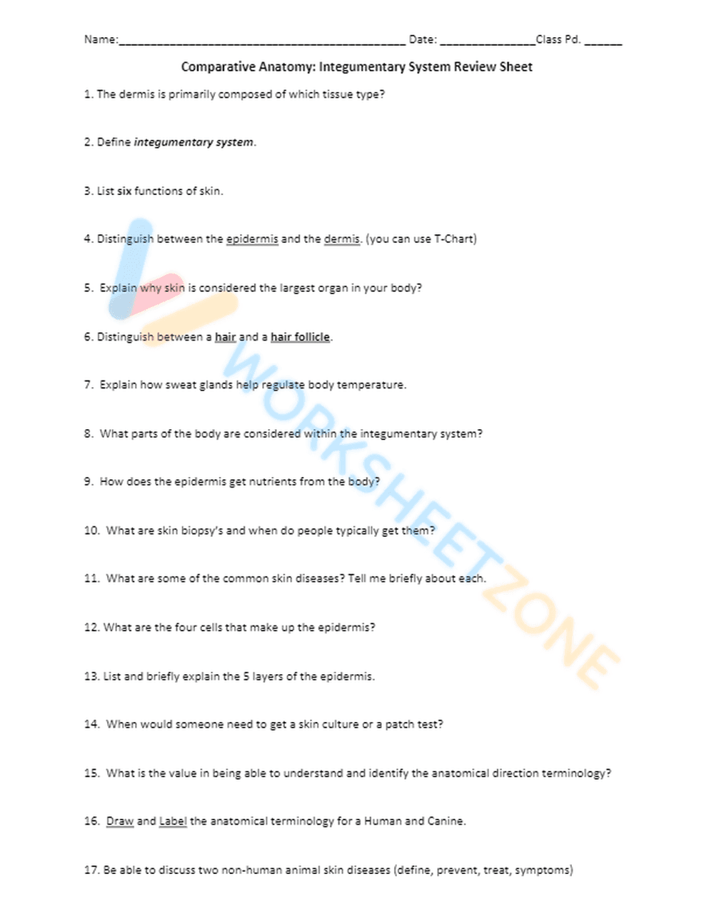 Review of the Integumentary System - Page 1