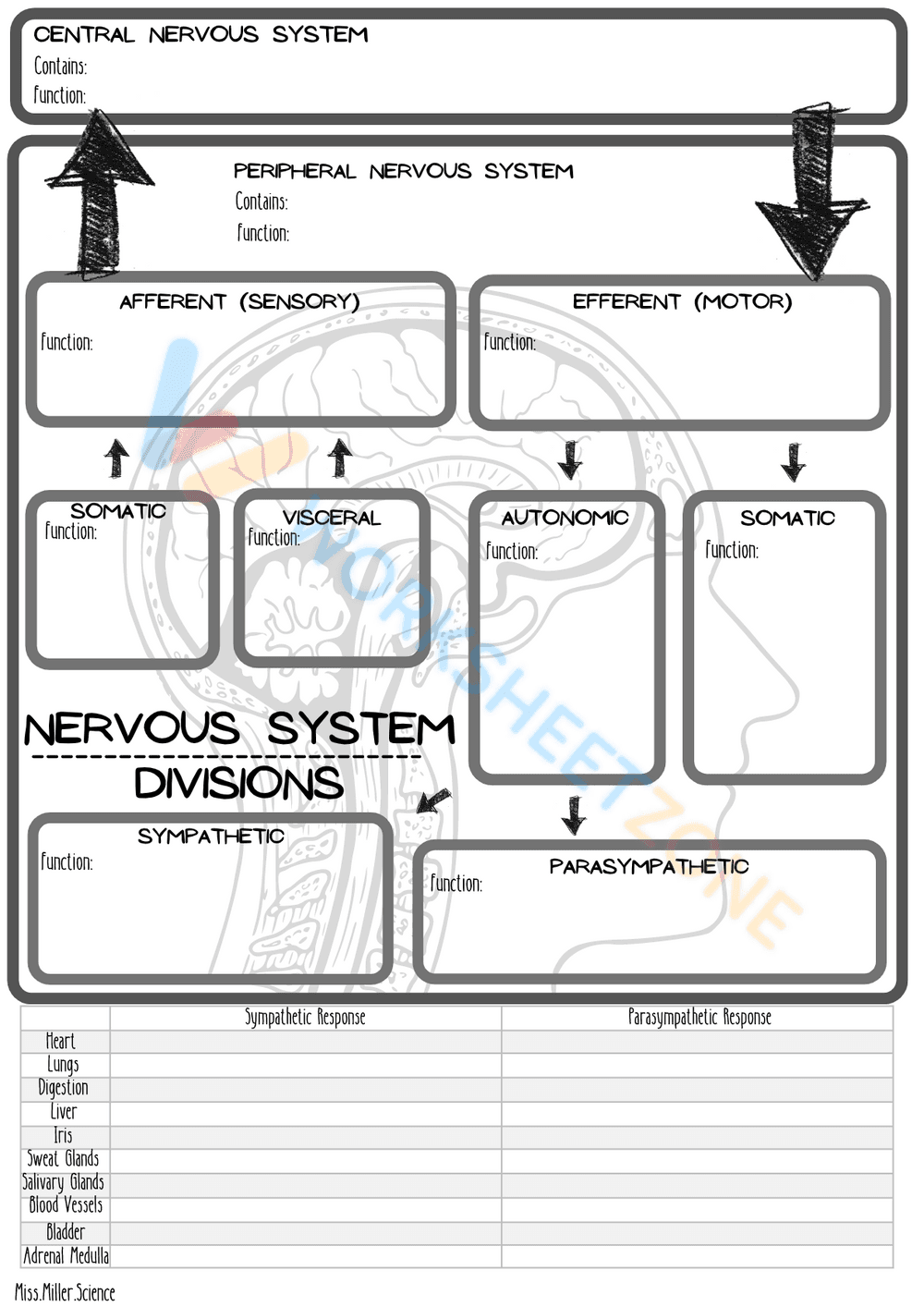 nervous system 5 - Page 1