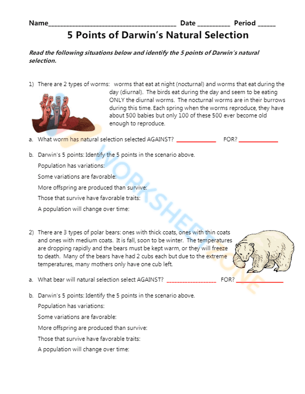 Explore Natural Selection Process - Page 1