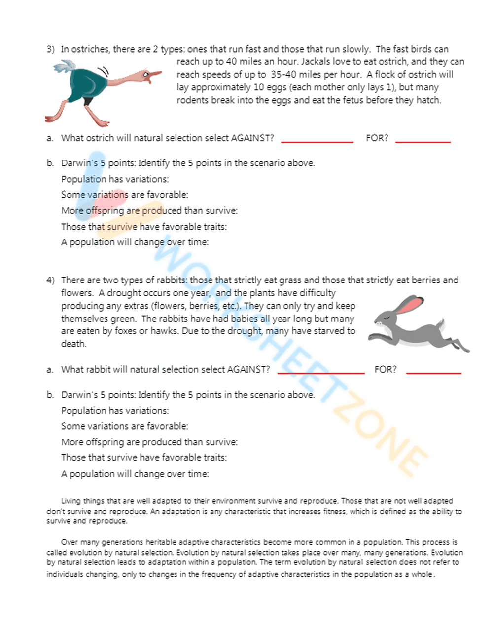 Explore Natural Selection Process - Page 2