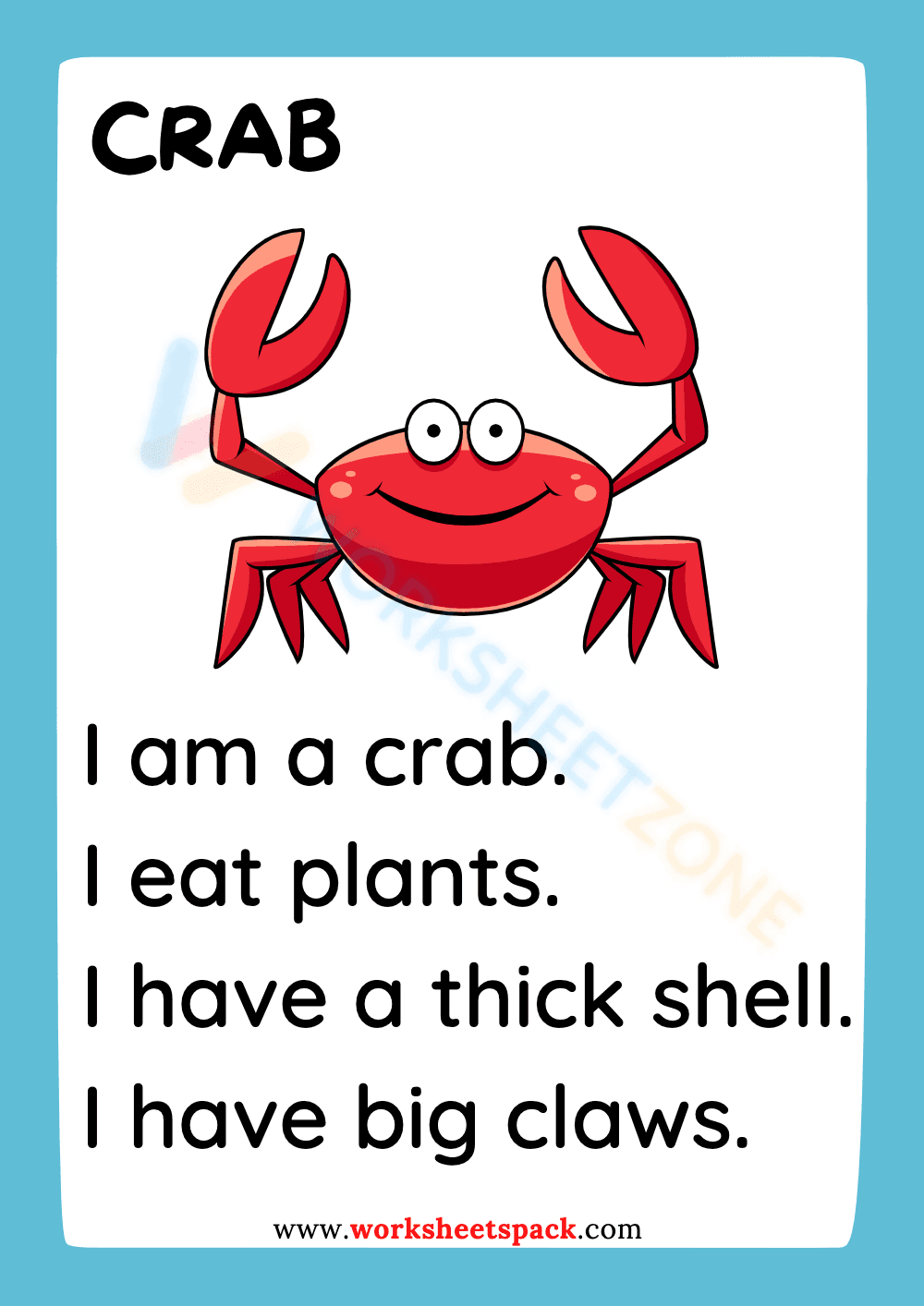 Explore Sea Animals with Reading Comprehension - Page 2