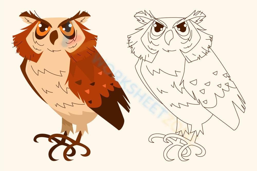 Little owl coloring - Page 1