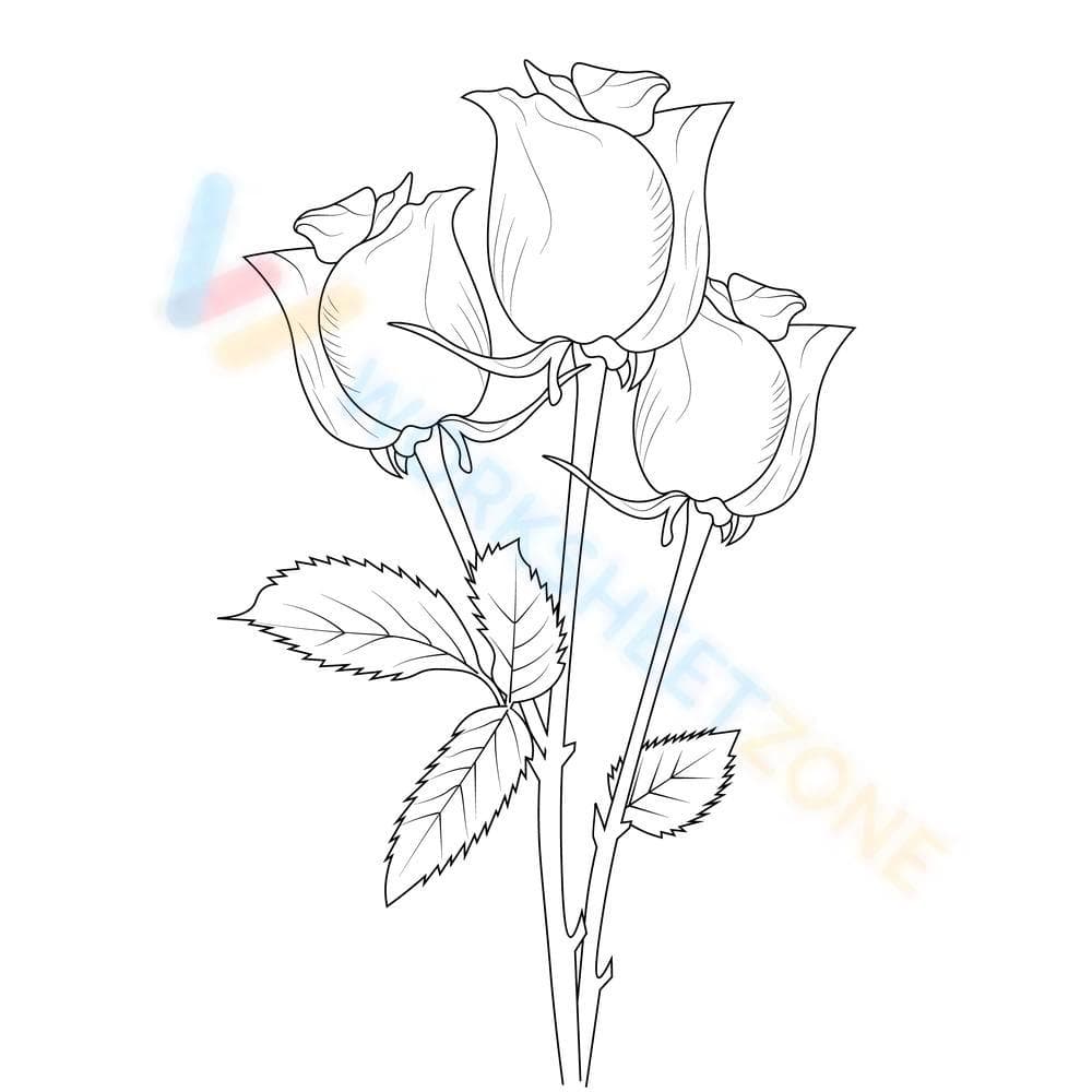 Bouquet of roses - Page 1