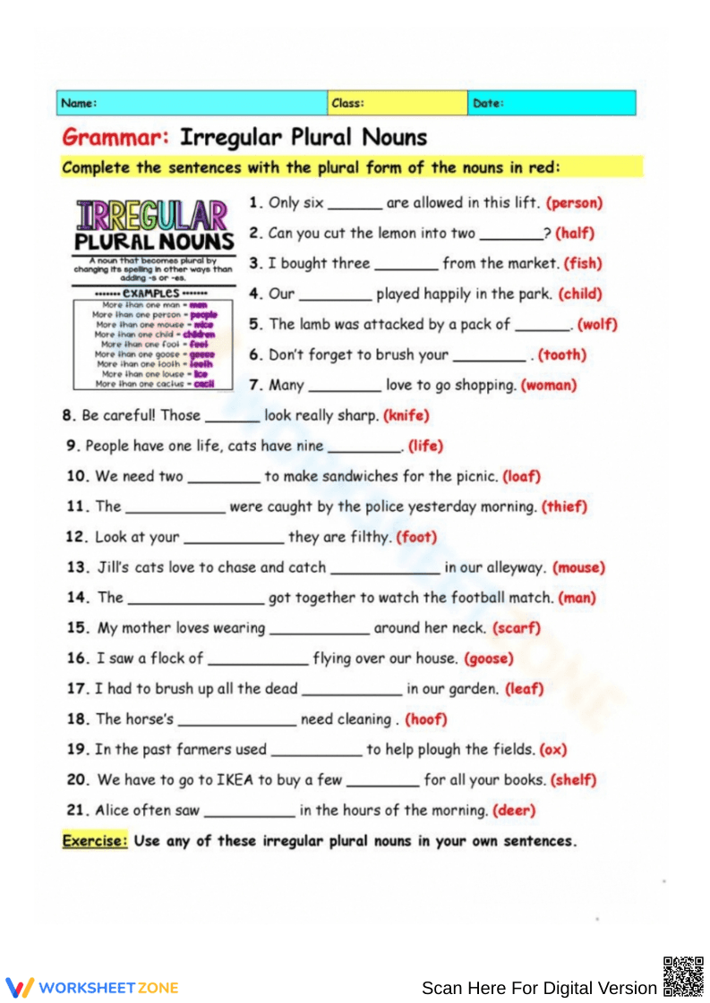 Grammar Worksheet on Irregular Plural Nouns - Page 1