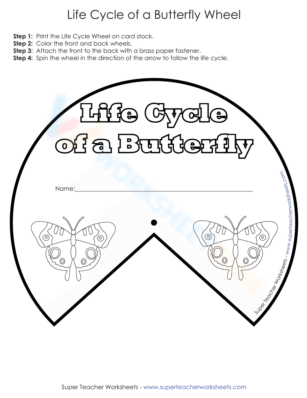 Explore Butterfly Life Cycle with a Wheel Worksheet - Page 1