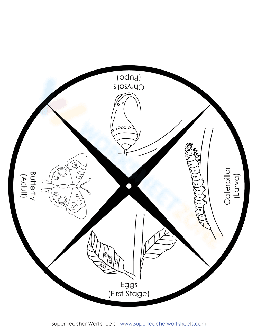 Explore Butterfly Life Cycle with a Wheel Worksheet - Page 2