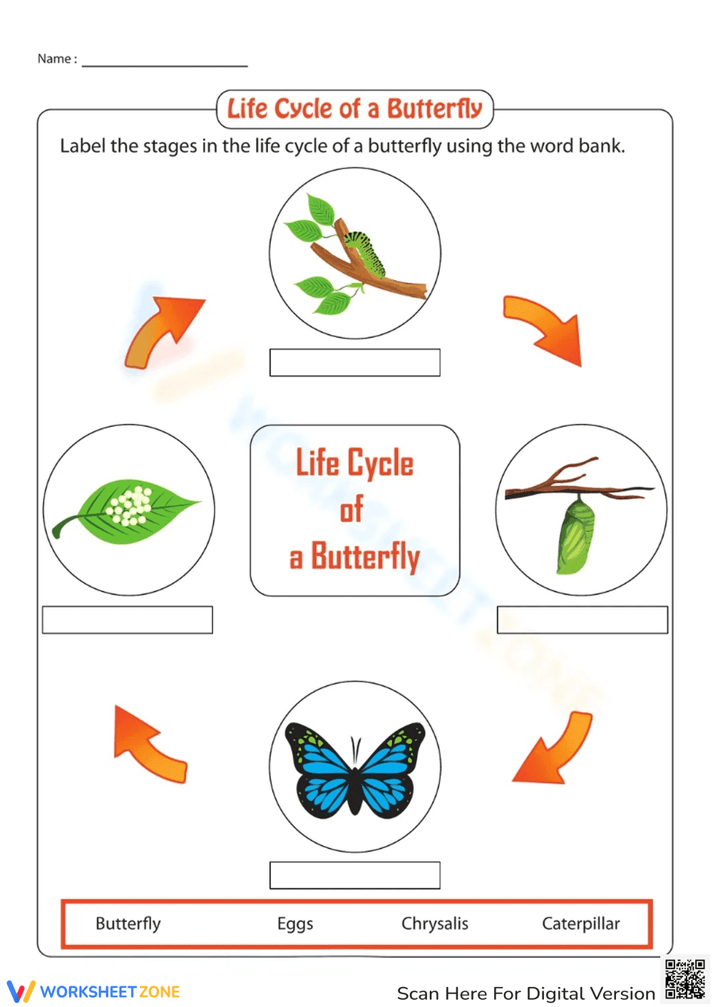 Life Cycle of a Butterfly Activity Sheet - Page 1