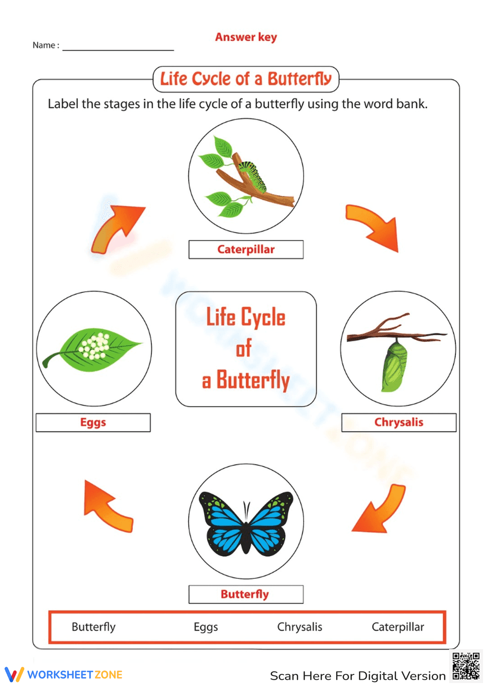 Life Cycle of a Butterfly Activity Sheet - Page 2