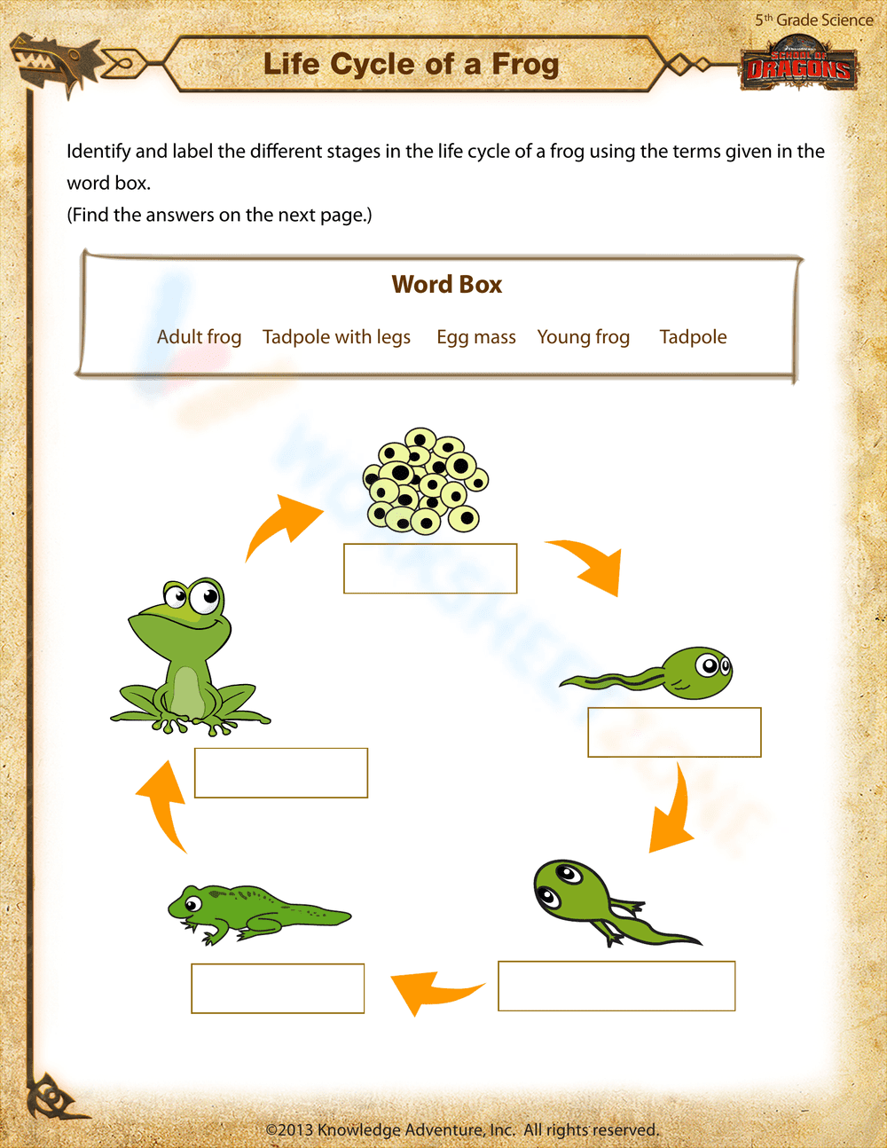 Understand Life Cycle of a Frog with This Worksheet - Page 1
