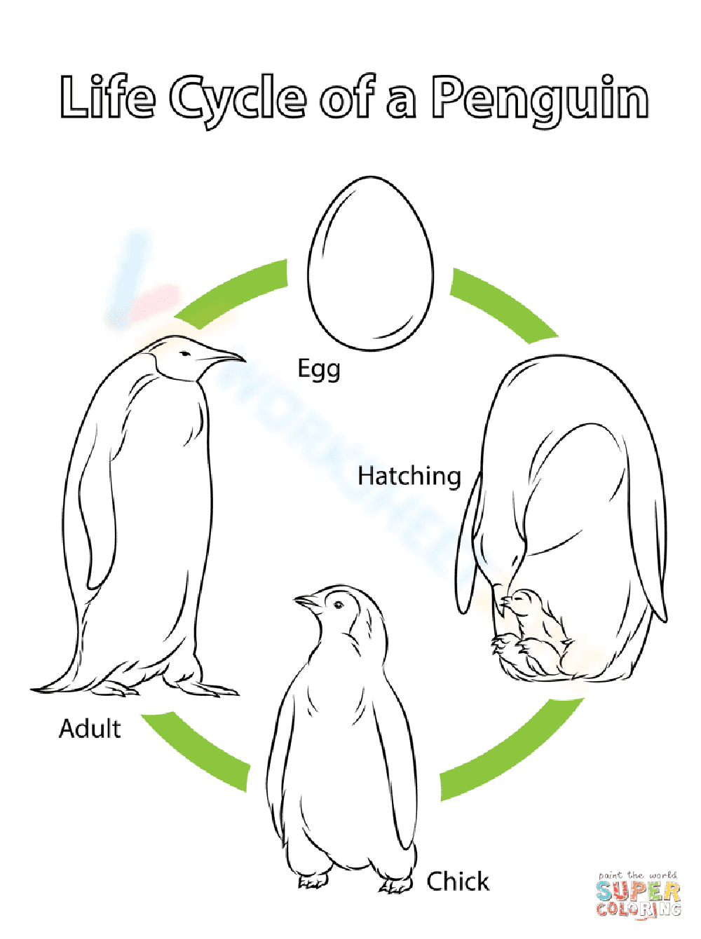 Discover the Penguin Life Cycle - Page 1