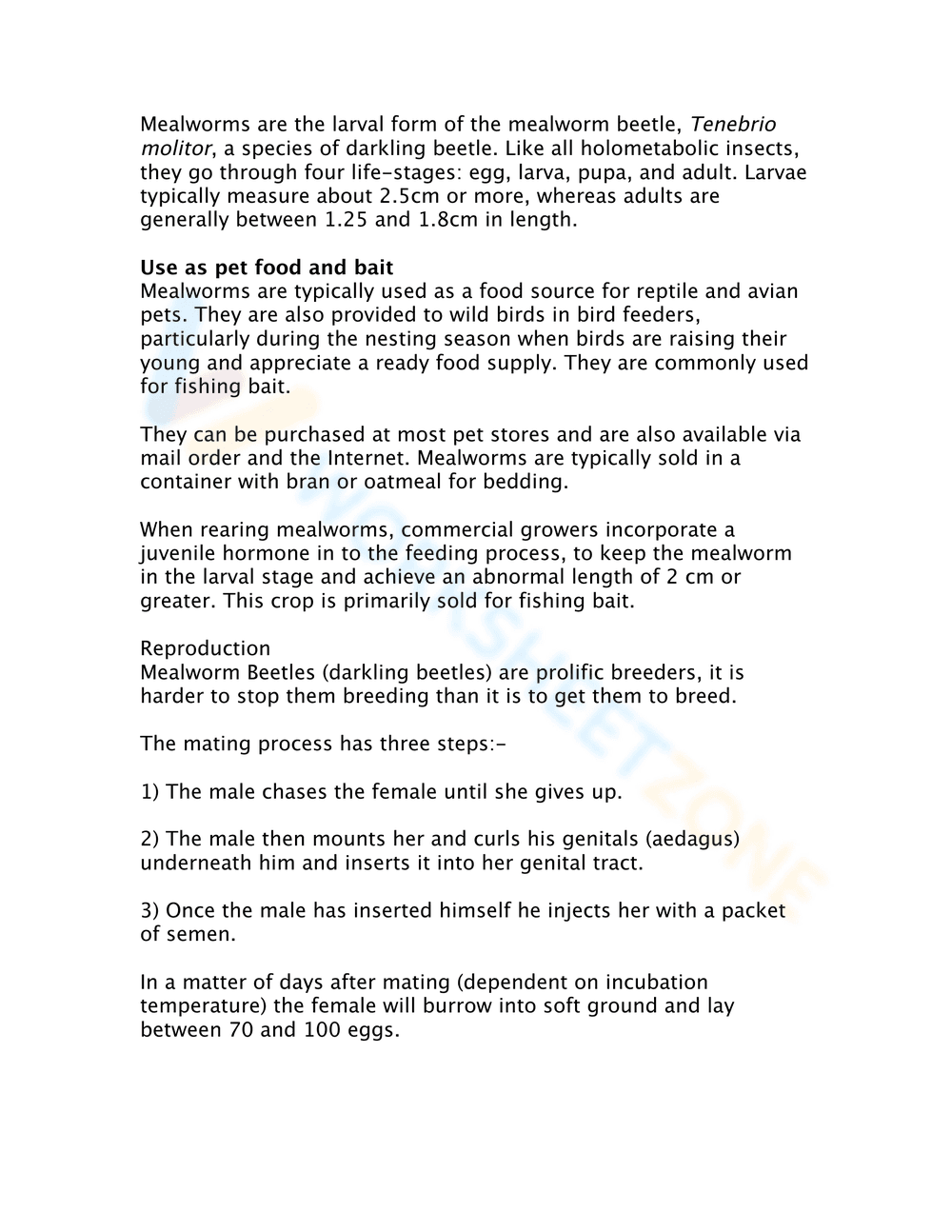 Mealworm Life Cycle Worksheet: Learn the Stages - Page 2