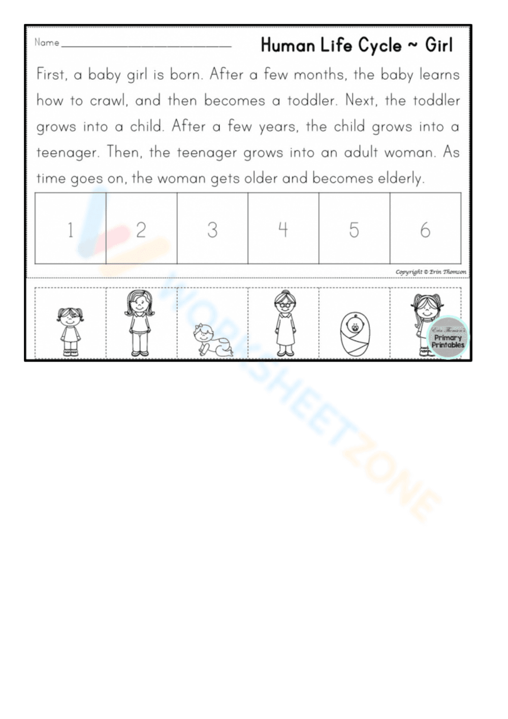 Human Life Cycle: Learn the Stages (Girl) - Page 1