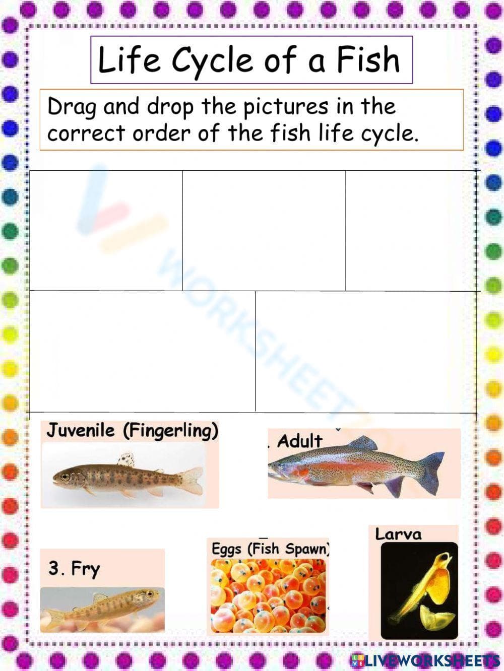 Fish Life Cycle: Educational Worksheet - Page 1