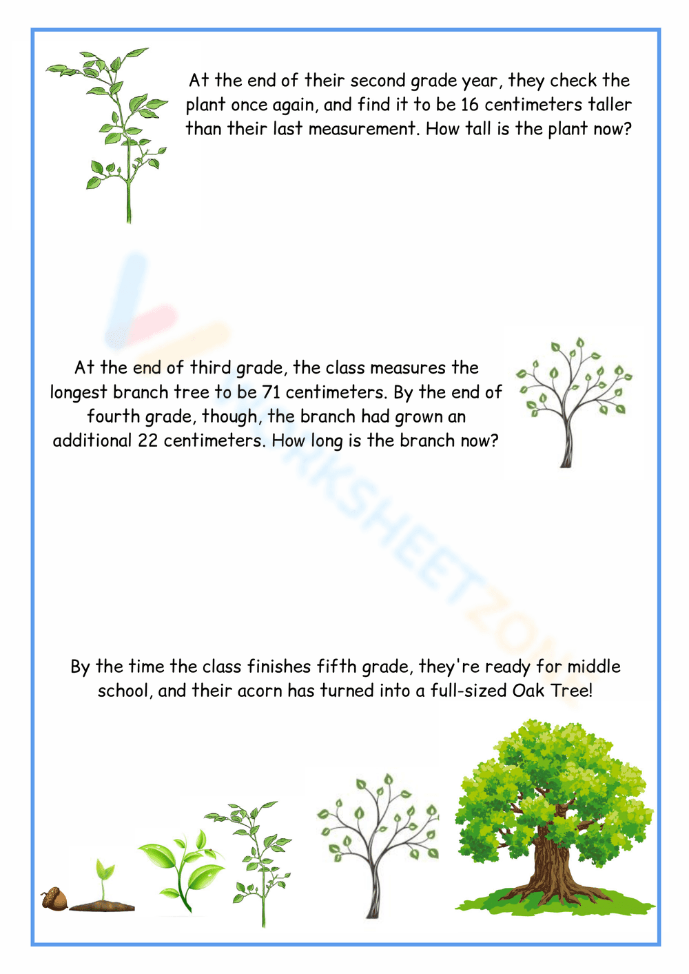 Oak Tree Life Cycle Worksheet - Page 3