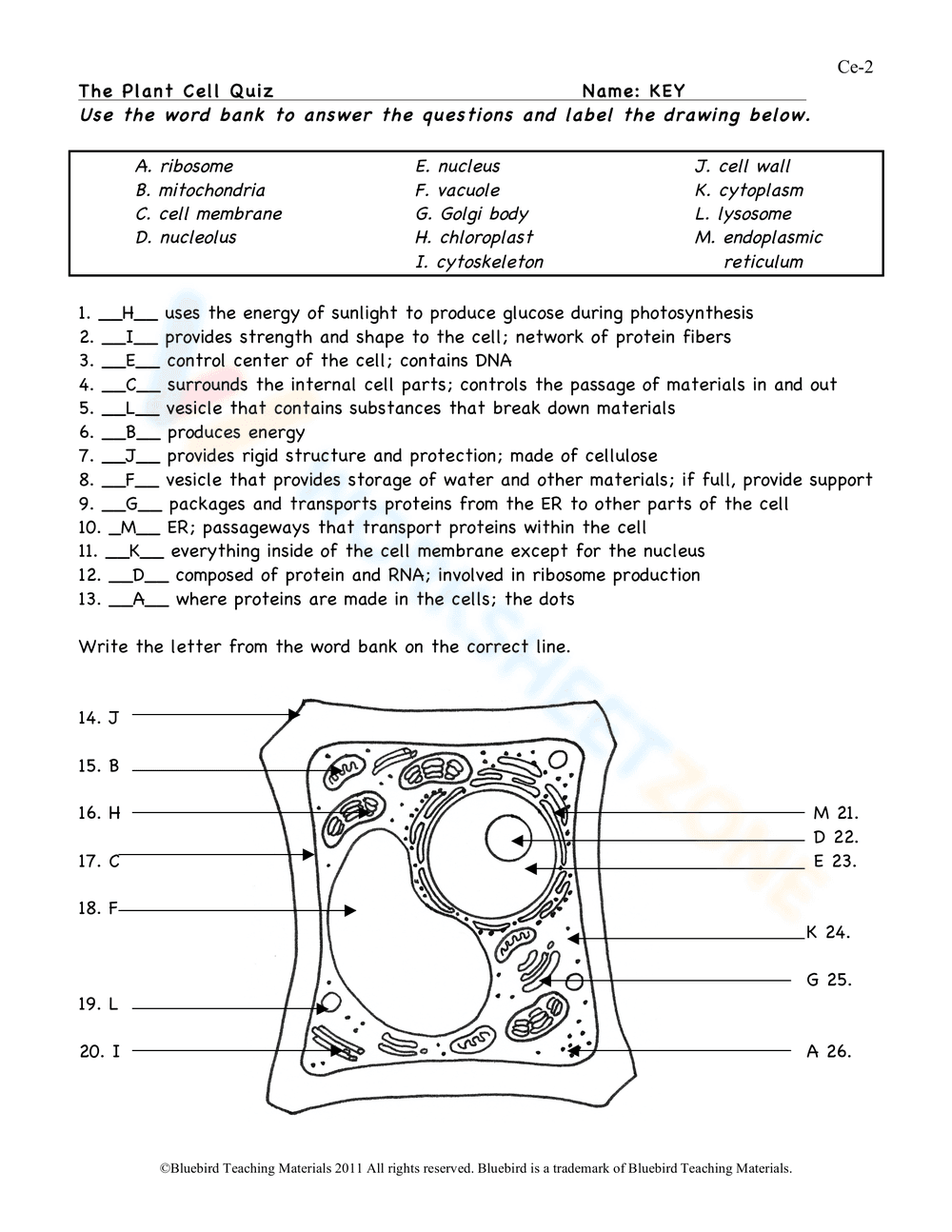 Plant Cell Quiz Worksheet - Page 2