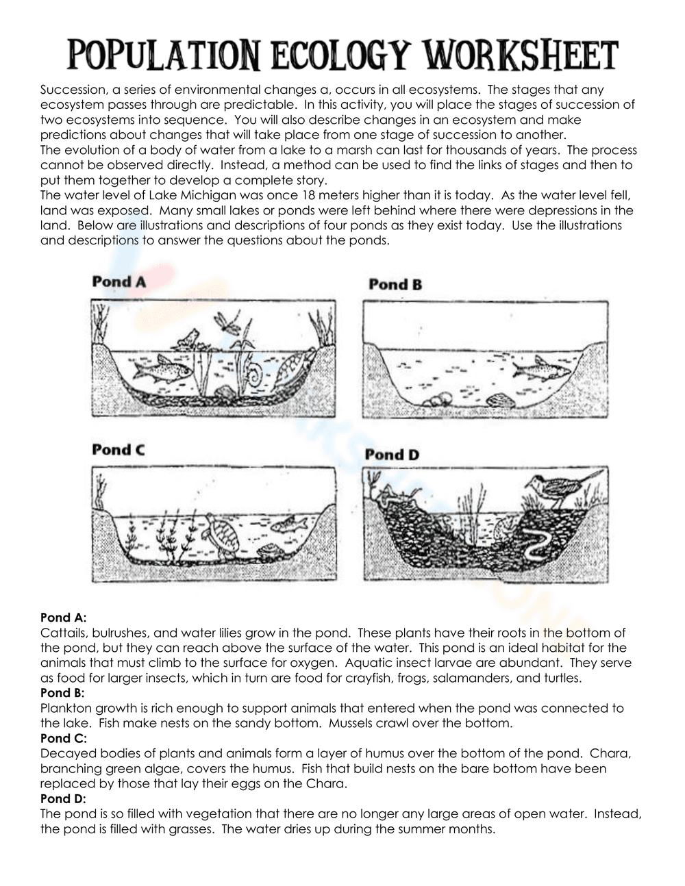 Population Ecology Worksheet - Page 1