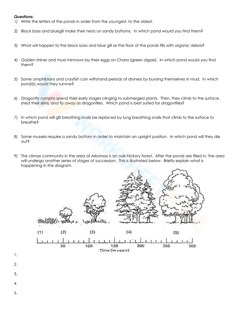 Population Ecology Worksheet - Page 2