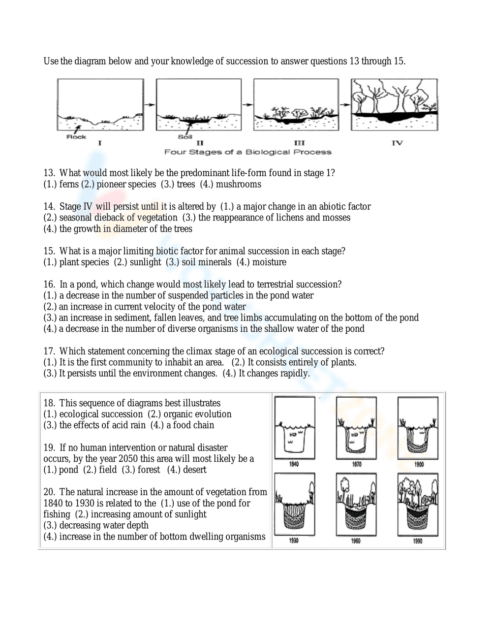 Explore Ecological Succession - Page 2