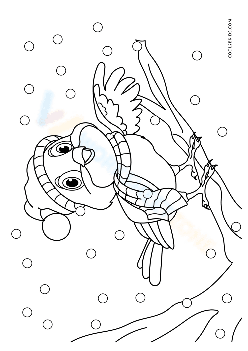 Observe a Winter Bird: An Avian Study Worksheet - Page 1