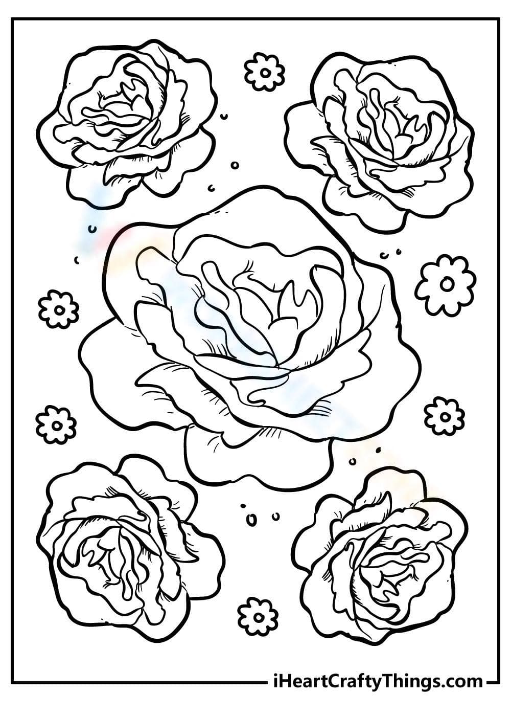 Beautiful Roses - Page 1