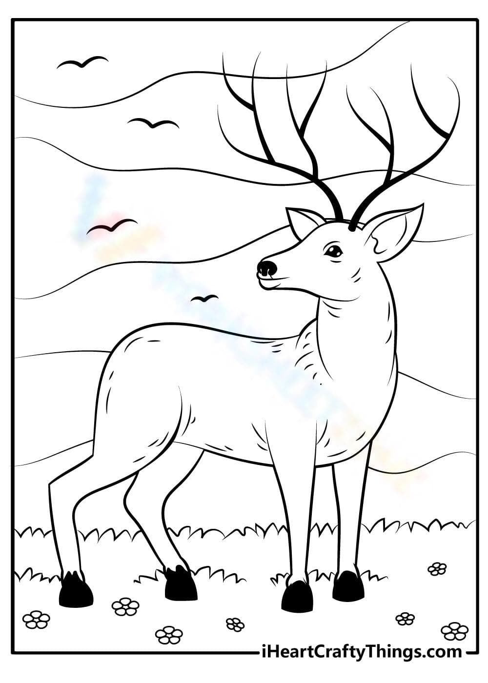Lovely deer - Page 1