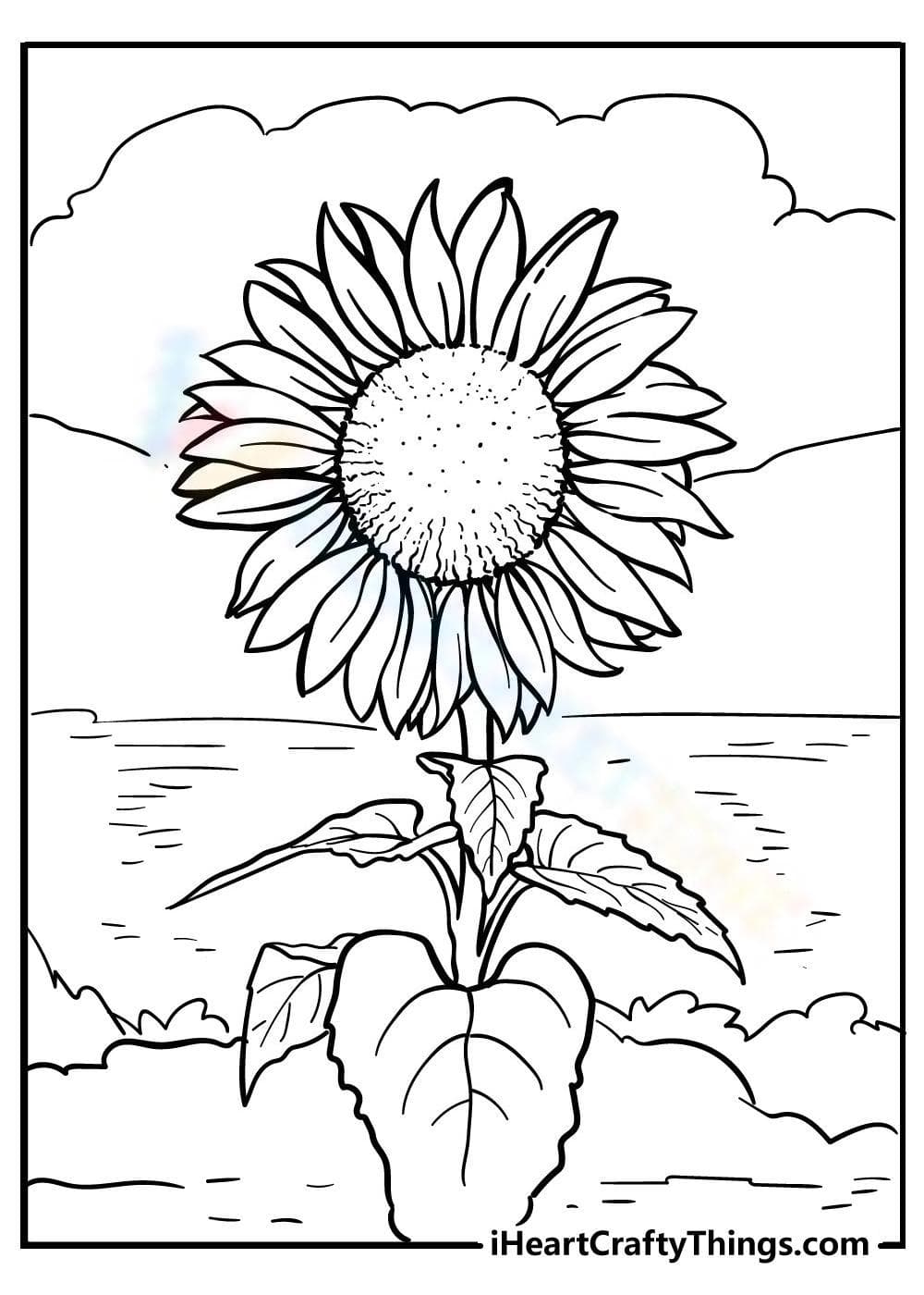 Sunflower - Page 1