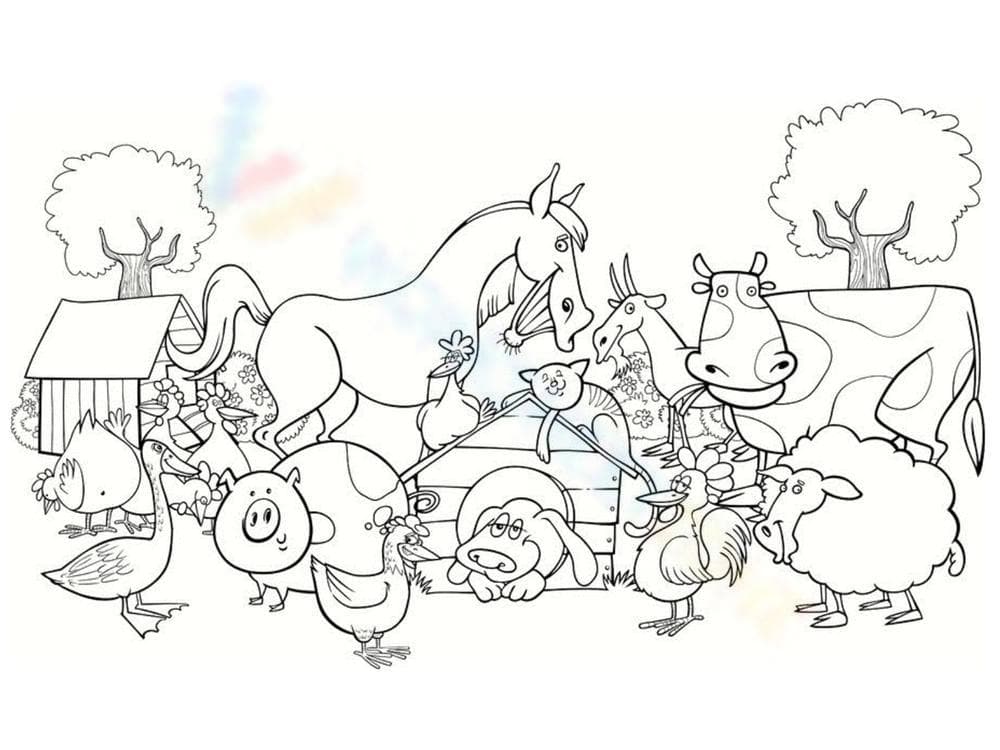 Farm animals - Page 1