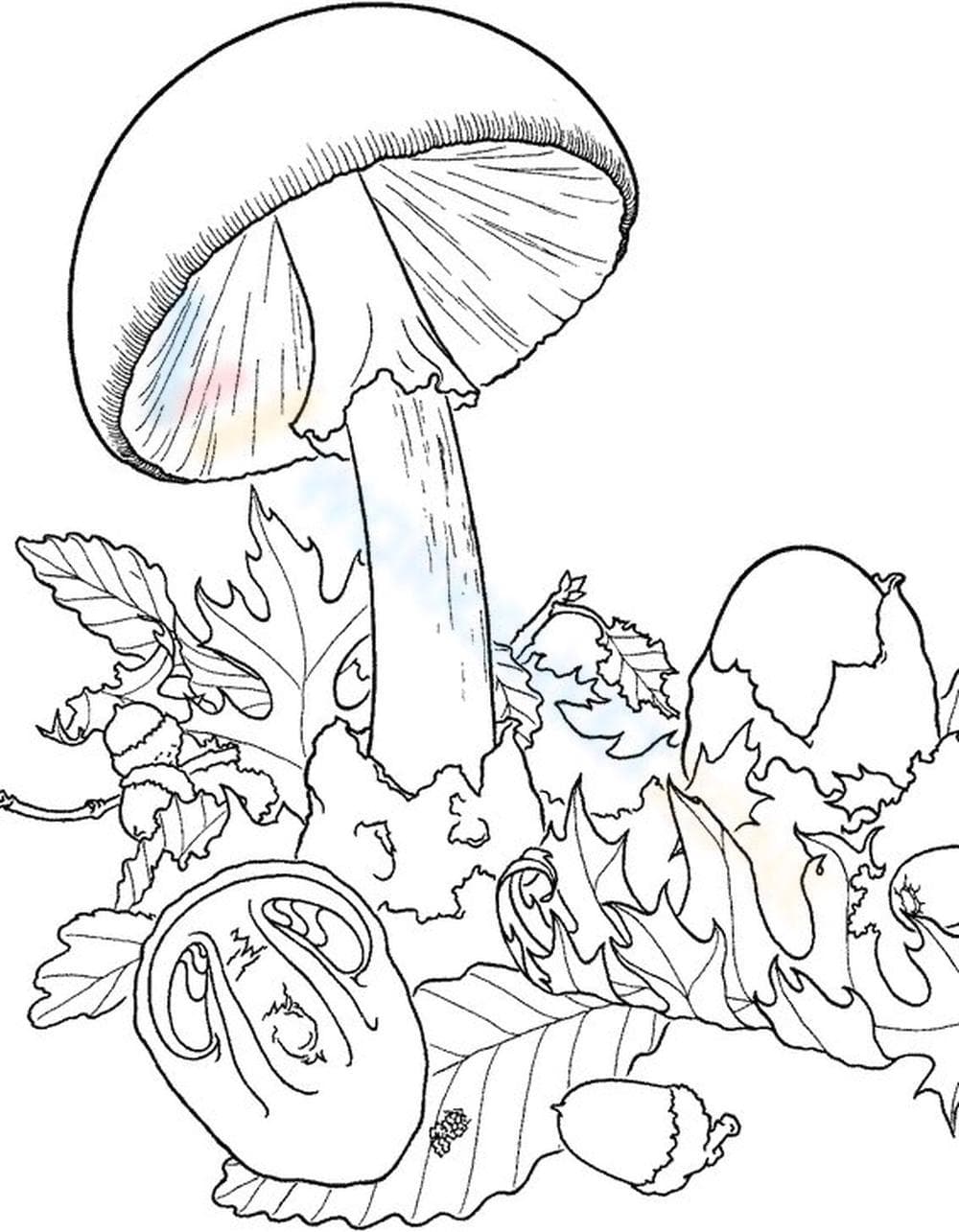 Big mushroom - Page 1