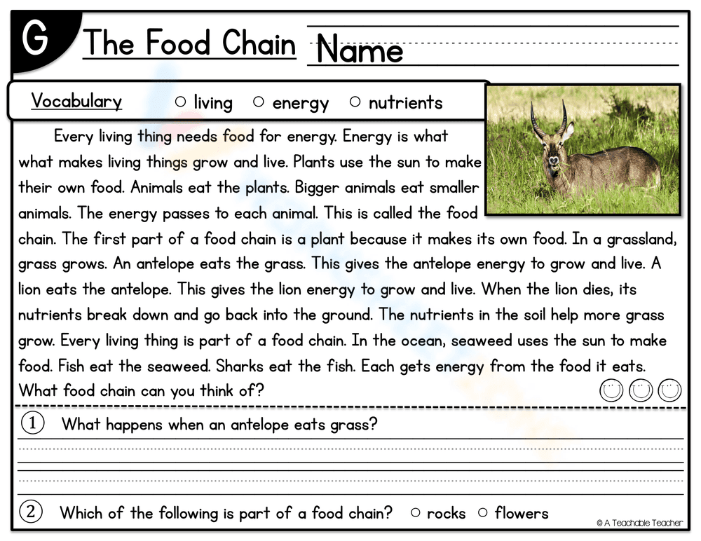 Understanding the Food Chain Worksheet - Page 1