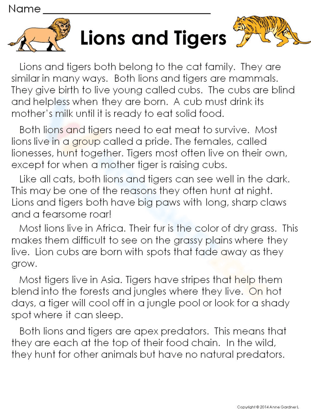 Lions and Tigers: Reading Comprehension Practice - Page 2