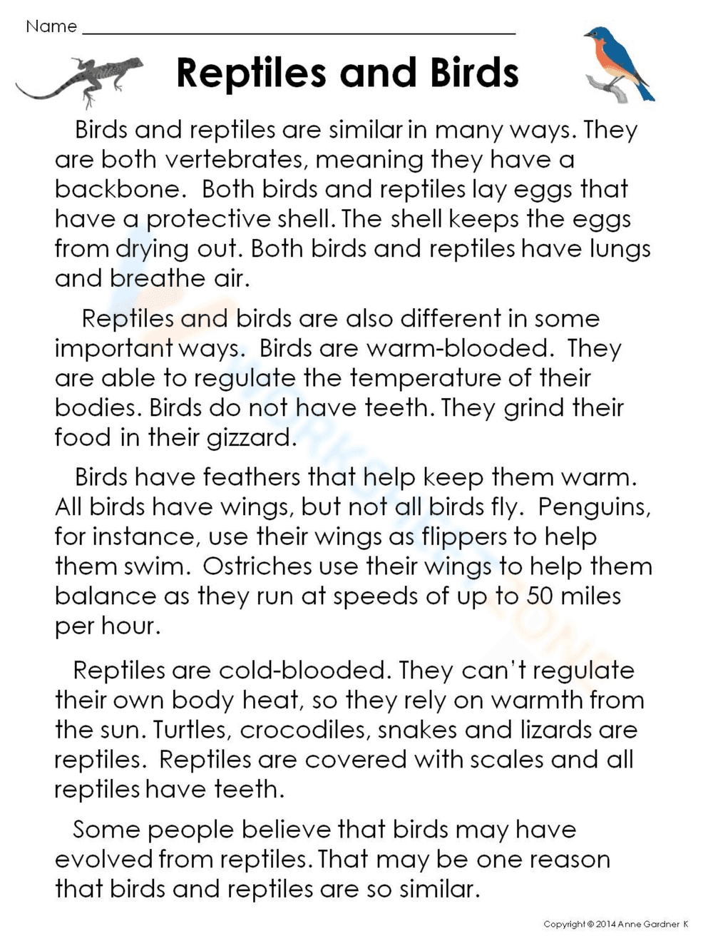 Reptiles and Birds: Exploring Animal Classification - Page 1