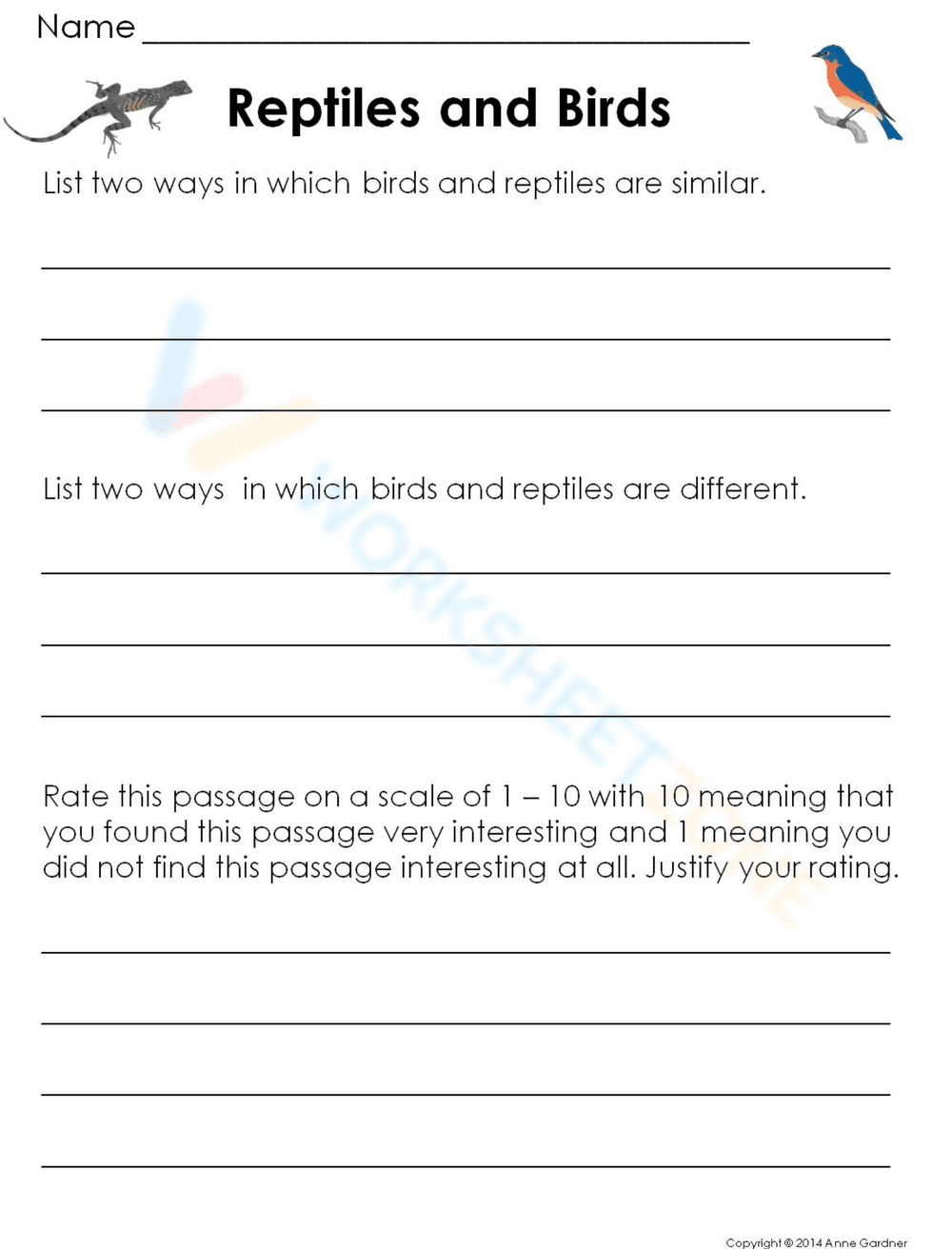 Reptiles and Birds: Exploring Animal Classification - Page 3