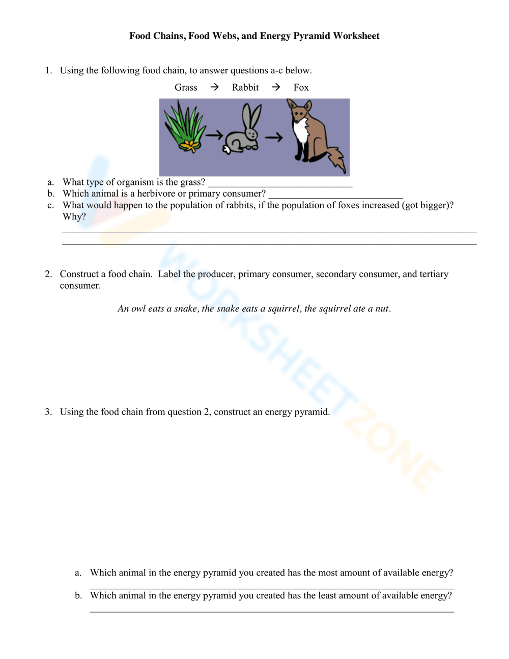 Food Chains and Energy Pyramid for Science Practice - Page 1