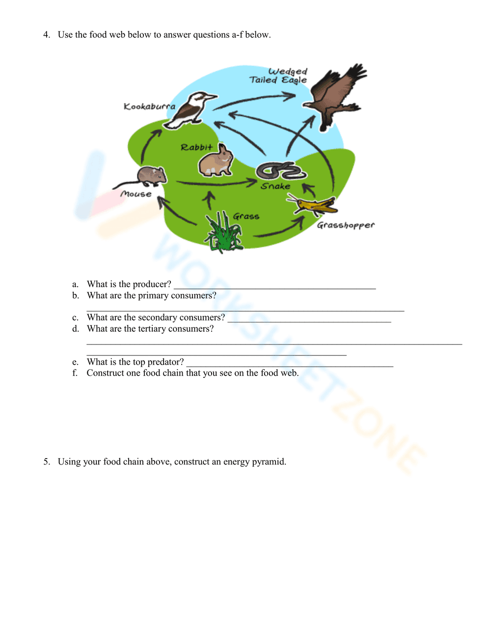 Food Chains and Energy Pyramid for Science Practice - Page 2