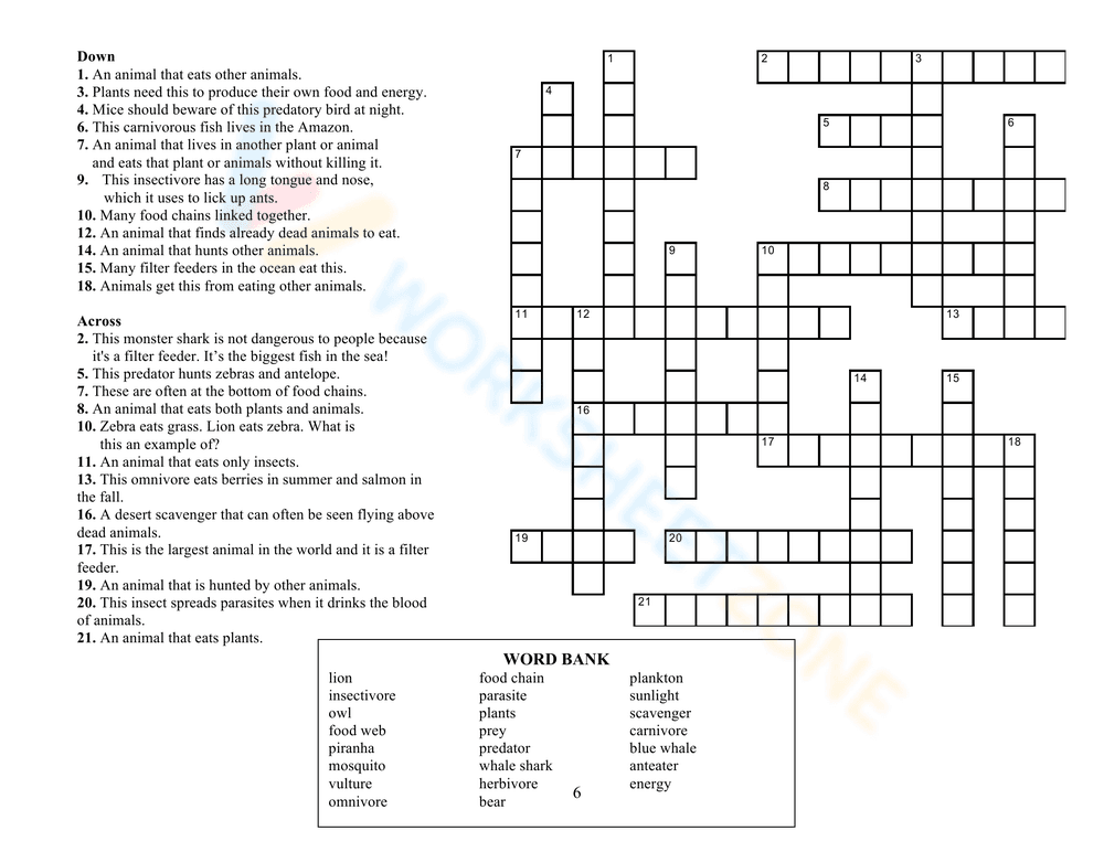 Food Chains and Energy Pyramid for Science Practice - Page 10